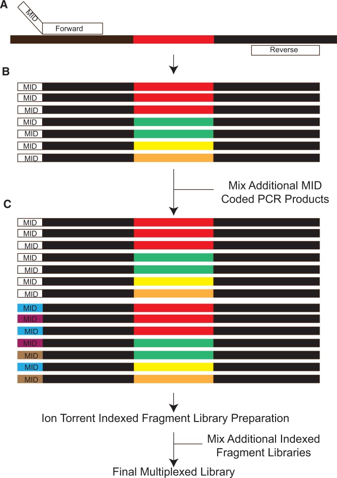 Figure 2.