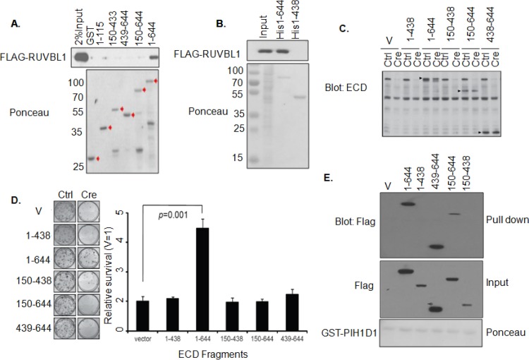 FIG 6