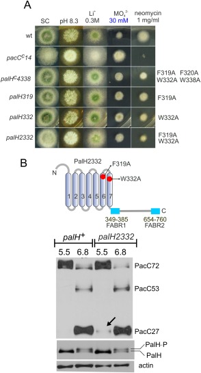 Figure 10