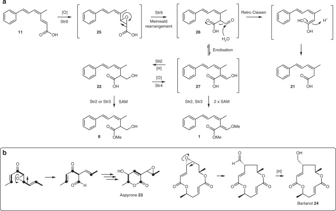 Fig. 7