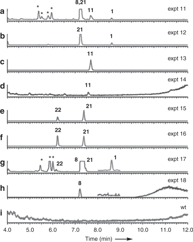 Fig. 6