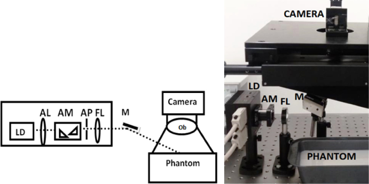 Fig. 2.