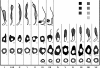 Fig. 4