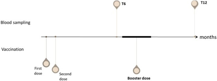 Supplementary Fig. 1