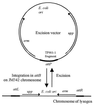 FIG. 1