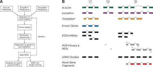 Figure 1.