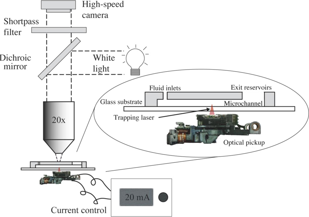 Fig. 3