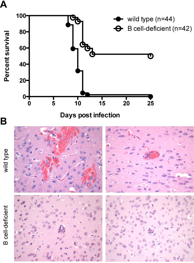 FIG 6 