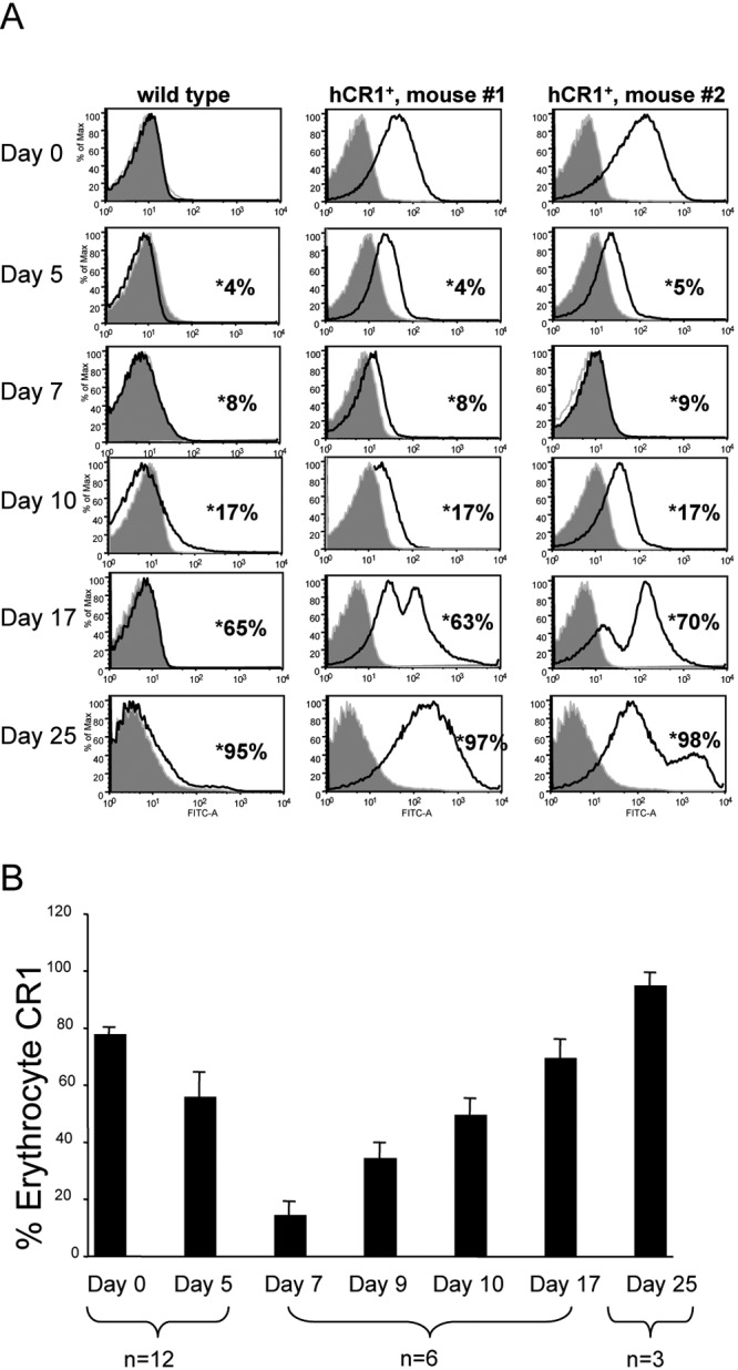 FIG 2 