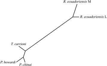 Fig. 8