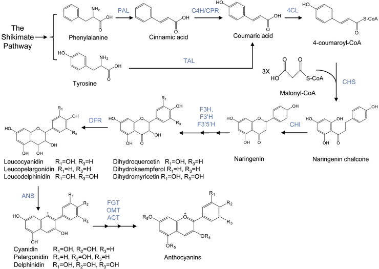 Fig. 2