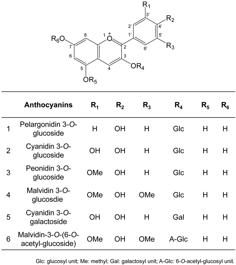 Fig. 1