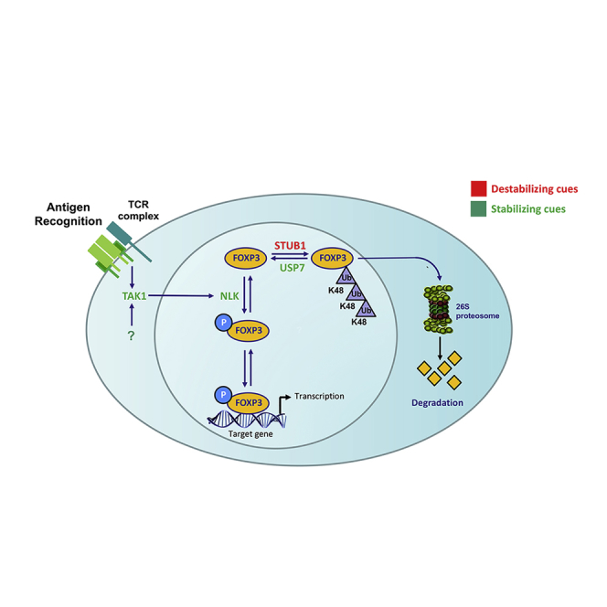 graphic file with name fx1.jpg