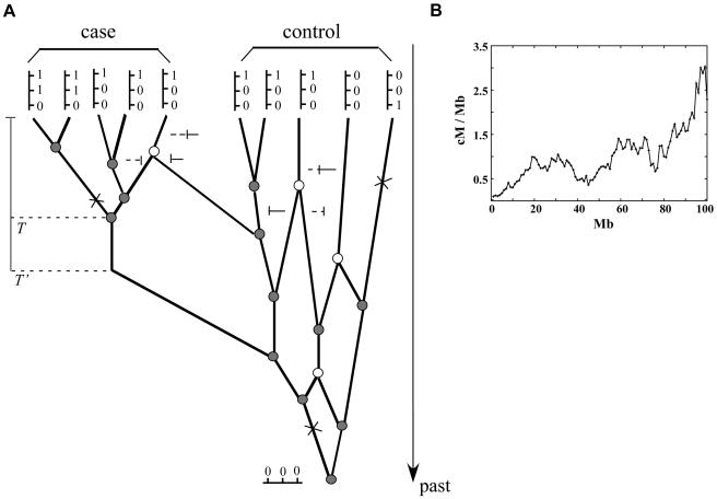 Figure  1