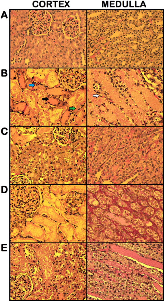 Fig 5