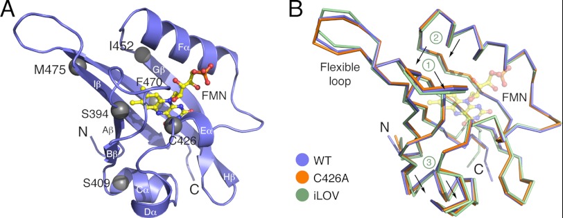 FIGURE 1.