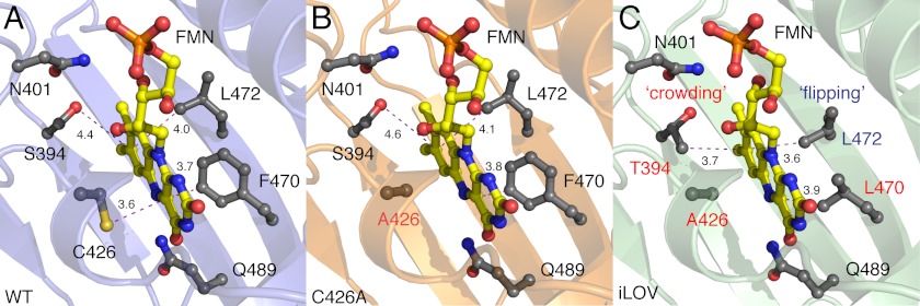 FIGURE 3.