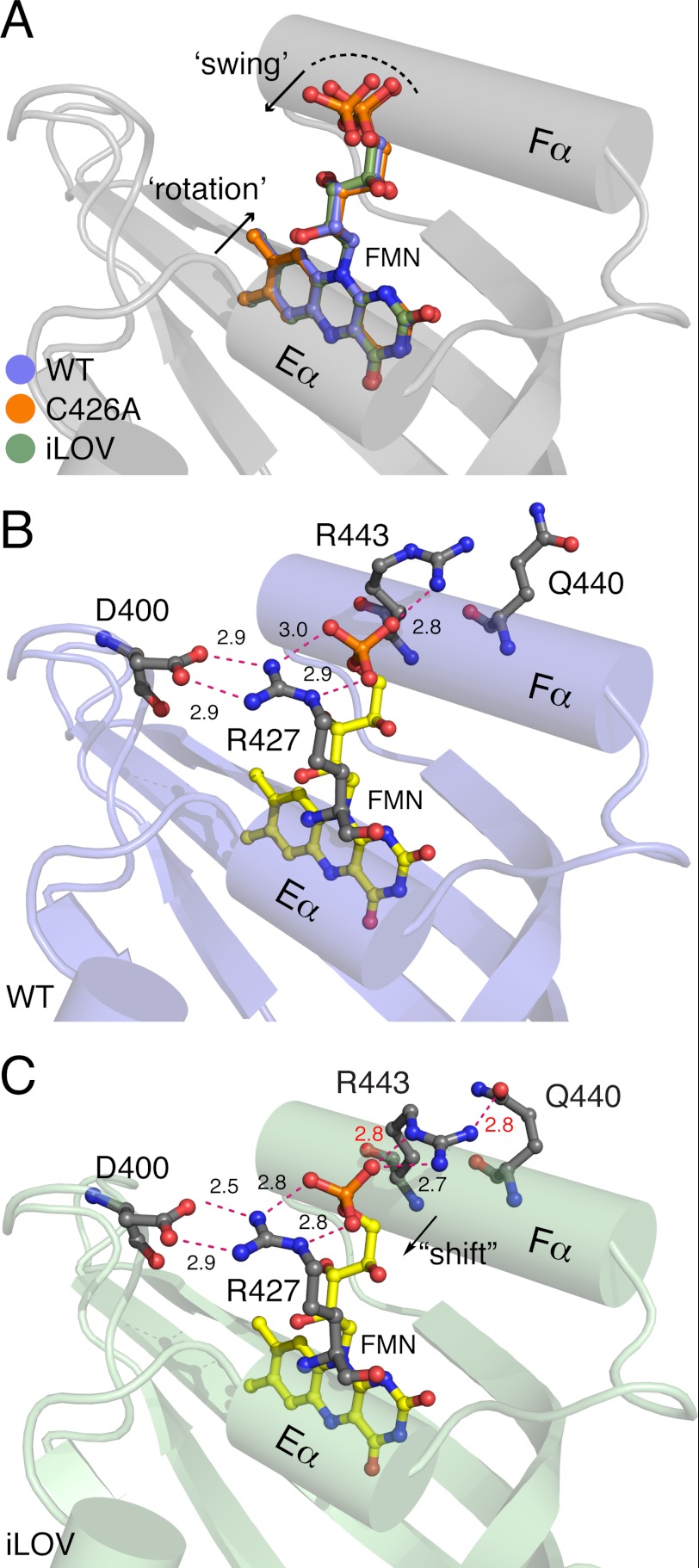 FIGURE 5.