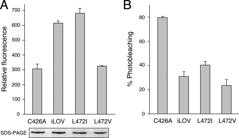 FIGURE 4.