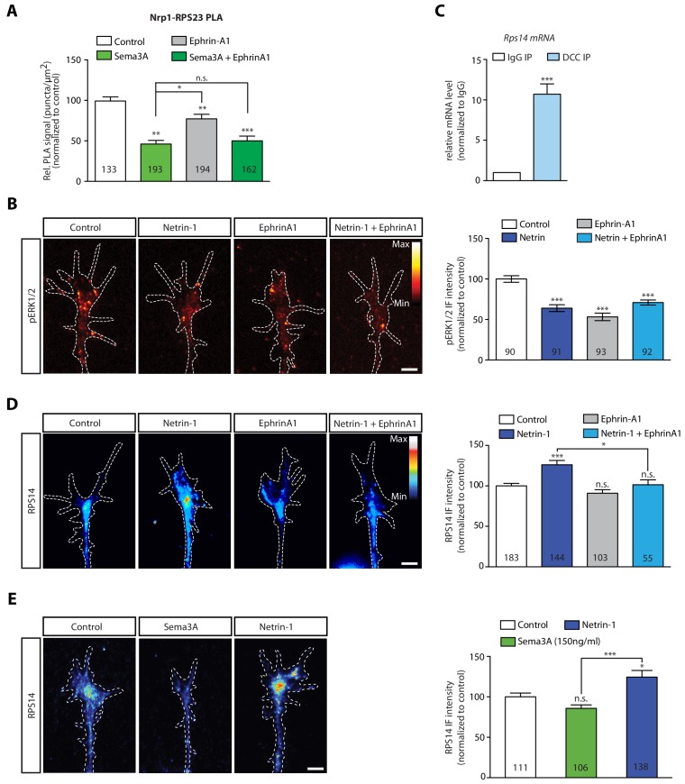 Figure 4—figure supplement 1.