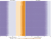 Extended Data Fig. 1