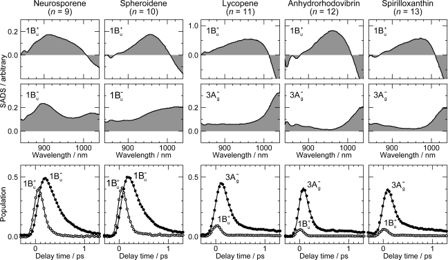 Figure 7.