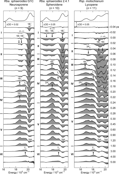 Figure 23.