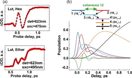 Figure 32.