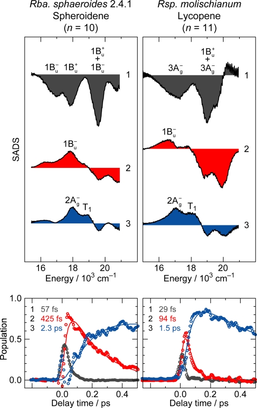 Figure 24.