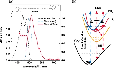 Figure 33.