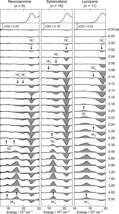 Figure 19.