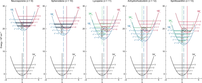 Figure 11.