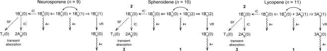 Figure 25.