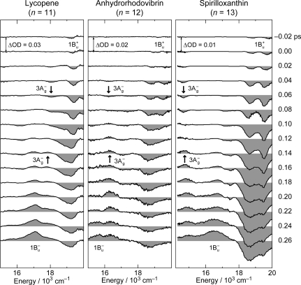 Figure 16.