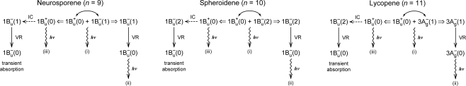 Figure 21.