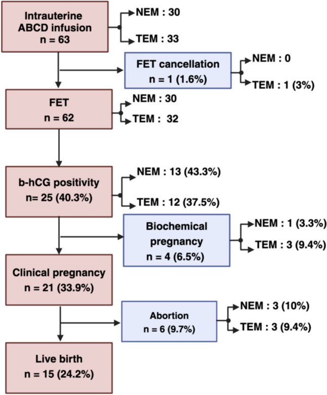 Fig. 2