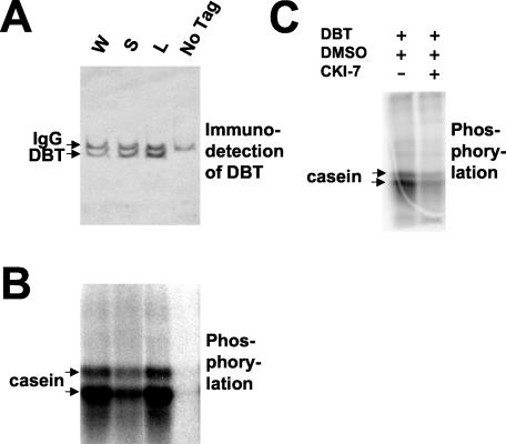 FIG. 9.