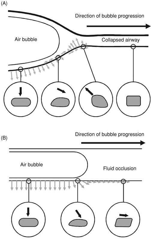 Figure 20