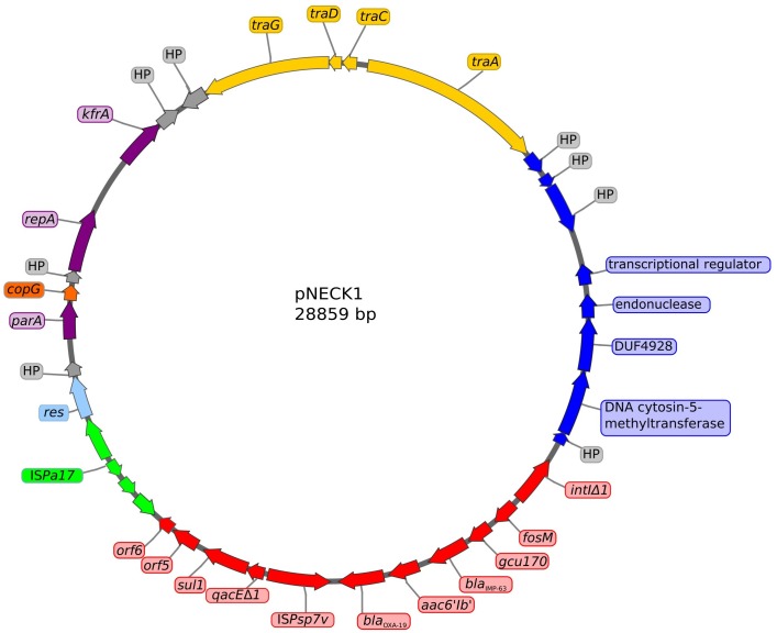 FIGURE 4