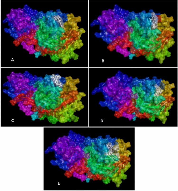 Fig. 2