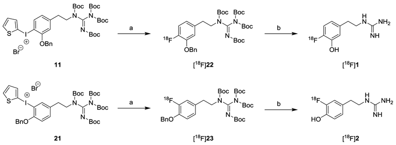 Scheme 5.