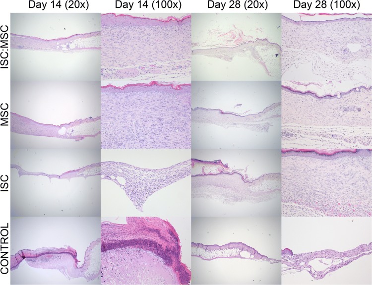 Figure 4