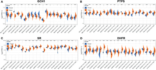 Figure 4