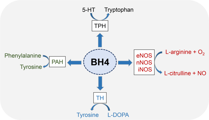 Figure 1