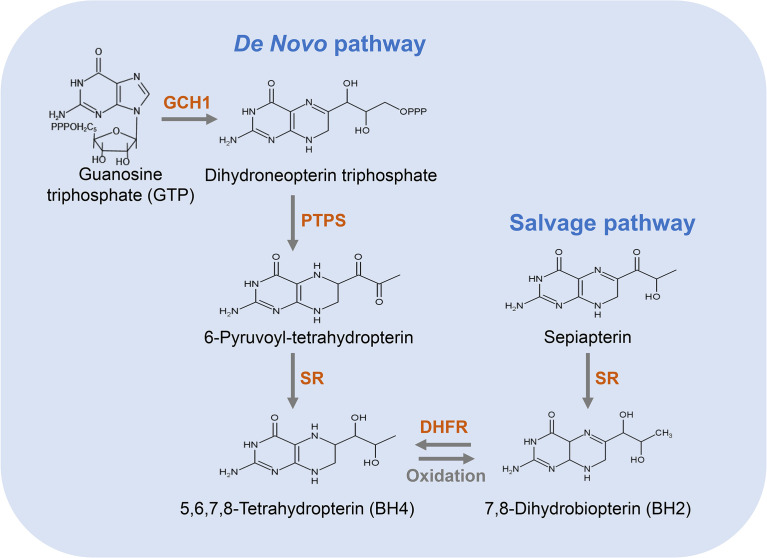 Figure 2