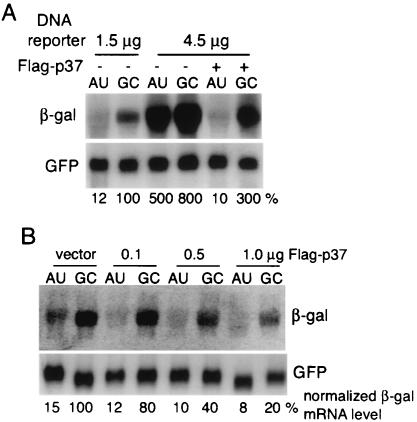 FIG. 5.