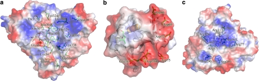 FIGURE 3.