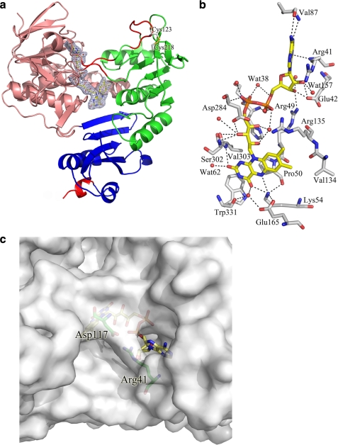 FIGURE 2.