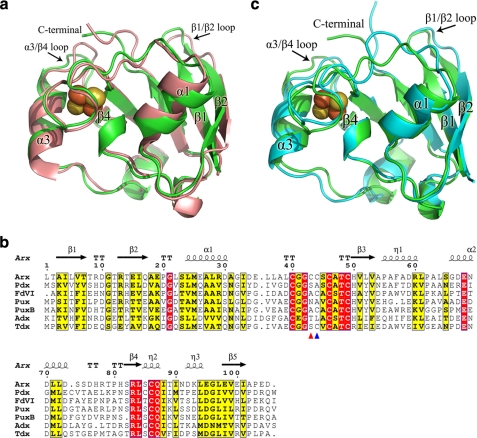 FIGURE 5.