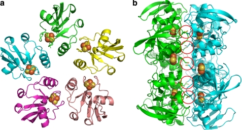 FIGURE 4.